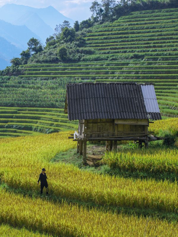 Lao Chai